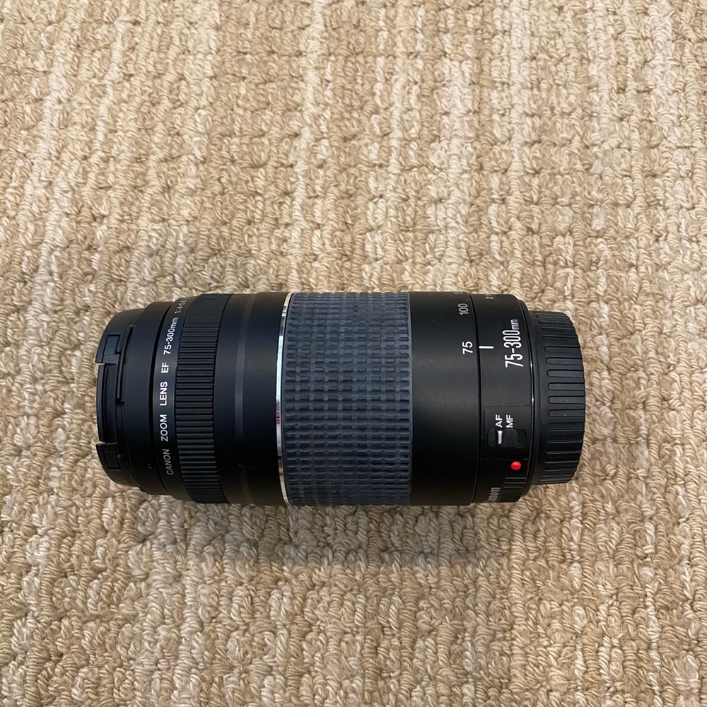 Canon Zoom Lens 75-300mm